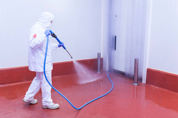 Spring Cleaning in West Rancho Dominguez, CA