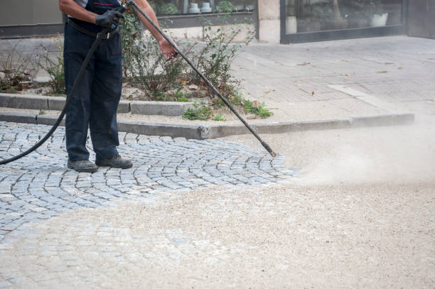 Best Roof Washing  in West Rancho Dominguez, CA